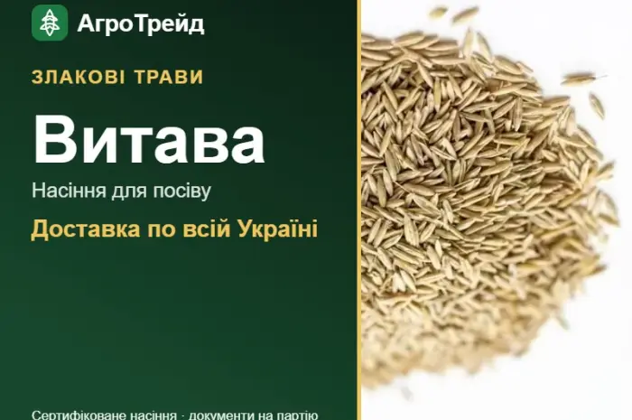Купити насіння злакових трав Витава- фото № 1
