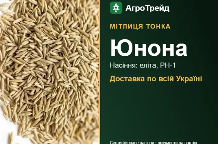 Купити насіння мітлиці тонкої Юнона- фото № 1