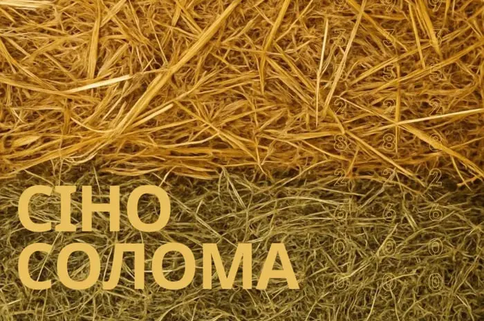 СОЛОМА, СІНО + Доставка- фото № 1