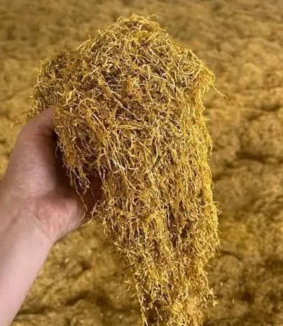 Продам  ароматне Золоте руно, оптом і в роздріб- фото № 1