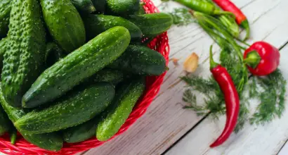 Паутинный клещ на огурцах: как распознать рано и уничтожить без ядов