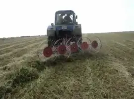 Зображення для оголошення Грабалка грабли гребка ворошилка сонечко на 4-5 колес Польша Wirax i Bomet Польша