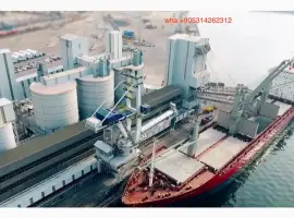 Зображення для оголошення Зерновой перегружатель стамбул