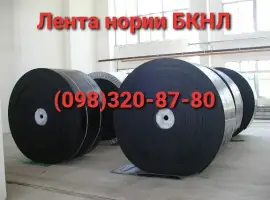 Зображення для оголошення Лента норийная