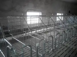 Зображення для оголошення Станки для осеменения