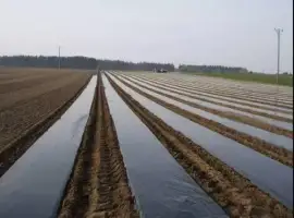 Зображення для оголошення Плівка мульчуюча вторинна/первинна Vatan Plastik