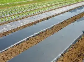 Зображення для оголошення Плівка для мульчування без перфорації в асортименті Vatan Plastik
