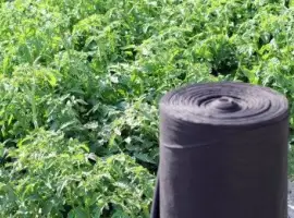 Зображення для оголошення Агроволокно Агротекс 3