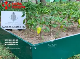 Зображення для оголошення Грядка для клубники