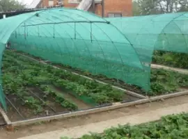 Зображення для оголошення Сетка затеняющая Karatzis зеленая (8х50) 35%