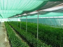 Зображення для оголошення Затеняющая сетка Karatzis зеленая (8х50) 50%