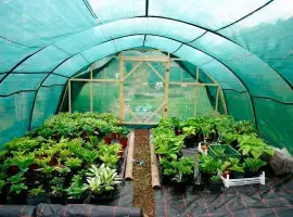 Зображення для оголошення Сетка затеняющая Karatzis зеленая (6х50) 35%