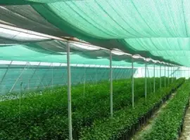 Зображення для оголошення Сетка затеняющая Karatzis зеленая (8х50) 65%