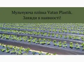 Зображення для оголошення Плівка мульчуюча вторинна/первинна