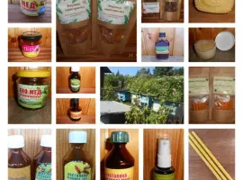 Зображення для оголошення Ліки на основі продуктів бджільництва
