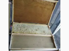 Зображення для оголошення Продам сушь