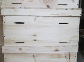 Зображення для оголошення Вулики Дадан Лежак