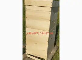 Зображення для оголошення Улья