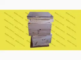 Зображення для оголошення Ульи корпусные 12 рамок Дадана