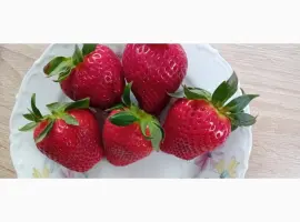 Зображення для оголошення Гигантелла саженцы клубники