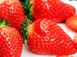 Зображення для оголошення Саженцы клубники альба соната азия
