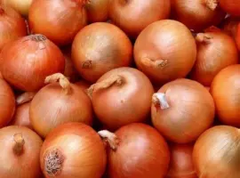 Зображення для оголошення Продам семена Лук Глобус