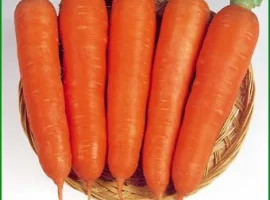 Зображення для оголошення Продам семена Морковь Ням ням