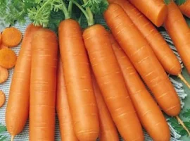Зображення для оголошення Продам семена моркови Берликум
