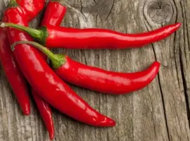 Зображення для оголошення Продам семена острого перца Козий рог