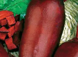 Зображення для оголошення Продам семена столового буряка (Польша)