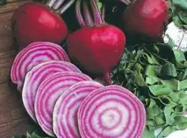 Зображення для оголошення Продам семена Свекла Тонда Ди Кьожжа