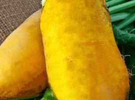 Зображення для оголошення Насіння кормового буряка Урсус Полі (Фасовка - 0
