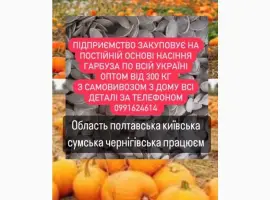 Зображення для оголошення Насіння габруза куплю