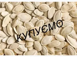 Зображення для оголошення Купуємо насіння гарбуза гарбузове насіння