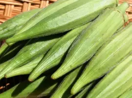 Зображення для оголошення Продам семена Бамия Луизиана