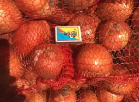 Зображення для оголошення Гуртовий продаж товарної цибулі