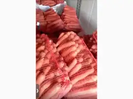 Зображення для оголошення Продам морковь
