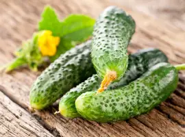 Зображення для оголошення Куплю свежий огурец