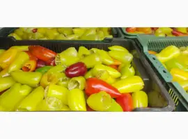 Зображення для оголошення Перець для фаршировки