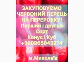 Зображення для оголошення Купуємо перець на переробку