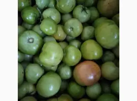 Зображення для оголошення Продам зелені томати (не підмерзлі)