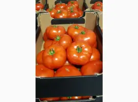 Зображення для оголошення Продам помідори