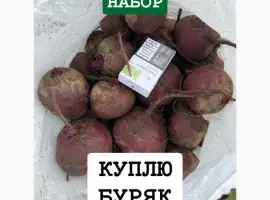 Зображення для оголошення Куплю Буряк ОПТ Україна Борщ Набор