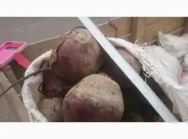 Зображення для оголошення Продаж буряків оптом
