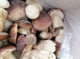 Зображення для оголошення Продам білі гриби морожені