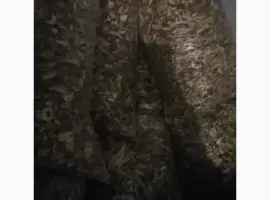 Зображення для оголошення Продам білі гриби сушені
