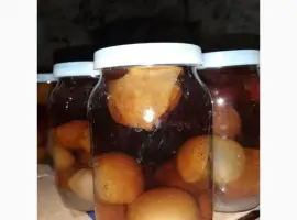 Зображення для оголошення Продам гриб Веселка(Панна)