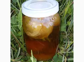 Зображення для оголошення Продам гриб веселка