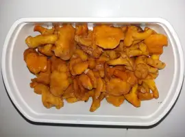 Зображення для оголошення Лисичка морожена