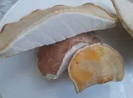 Зображення для оголошення Губка березова